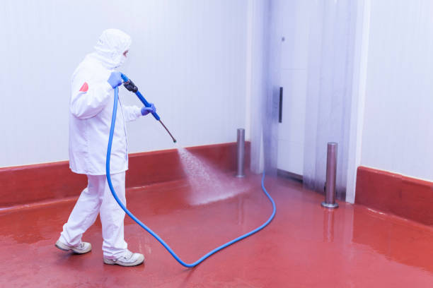 Reliable Key Vista, FL Pressure Washing Services Solutions